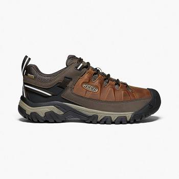 KEEN Férfi Targhee III Waterproof Túracipő Gesztenyebarna